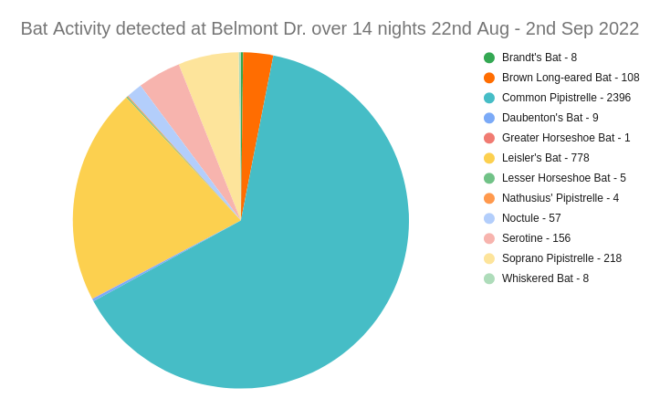 Bats Pie Chart